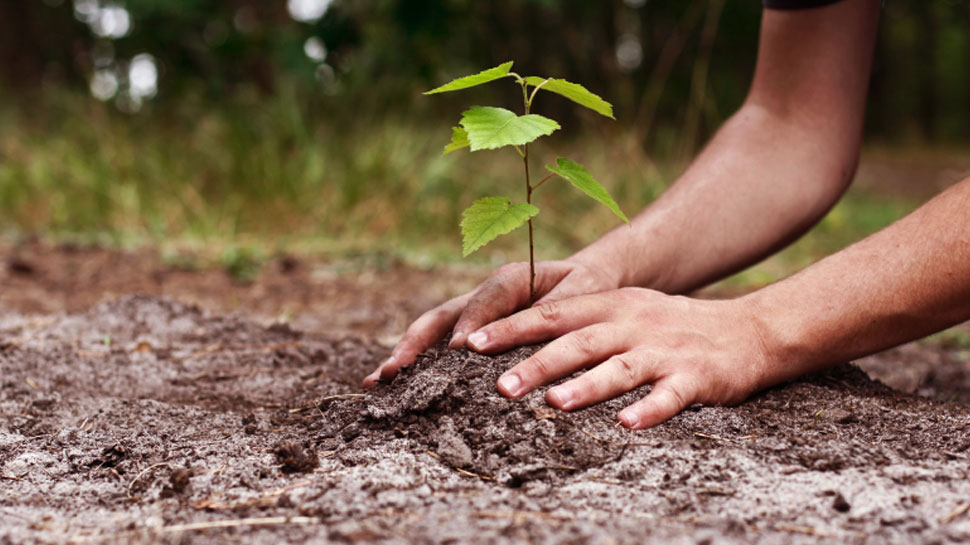 Jal Shakti Abhiyan and Plantation